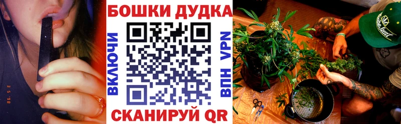 Конопля MAZAR  Кочубеевское 
